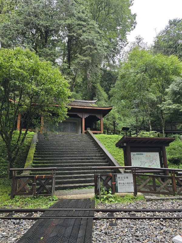Sacred Tree Station 2