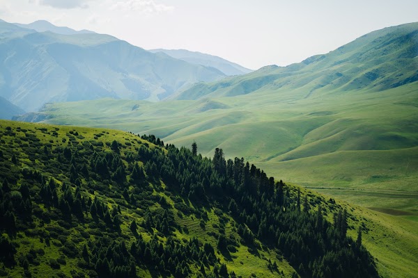 Asy plateau