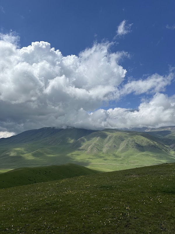 Asy plateau 5