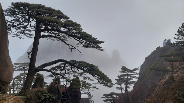 Huangshan Scenic Area 4