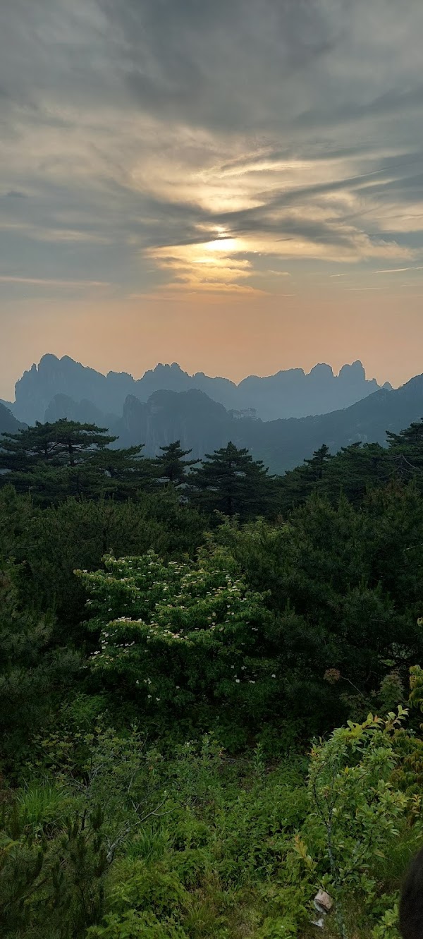 Huangshan Scenic Area 3