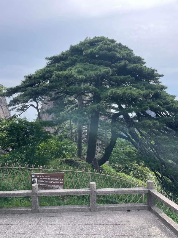 Huangshan Scenic Area 2