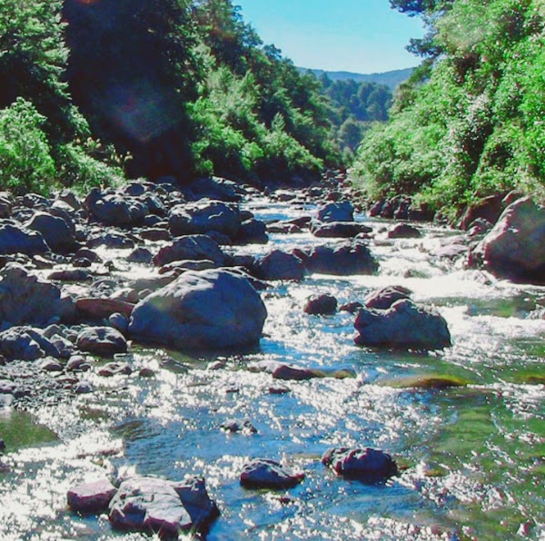 Oroua River 1