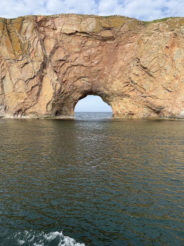 Percé 5