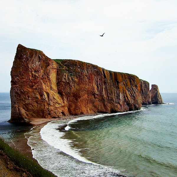 Percé 2
