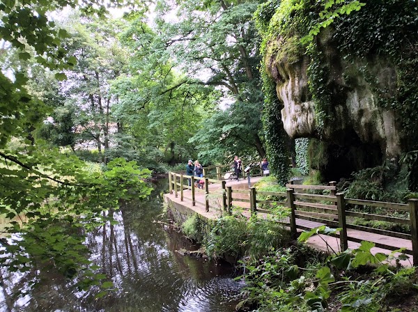 Mother Shipton's Cave 5