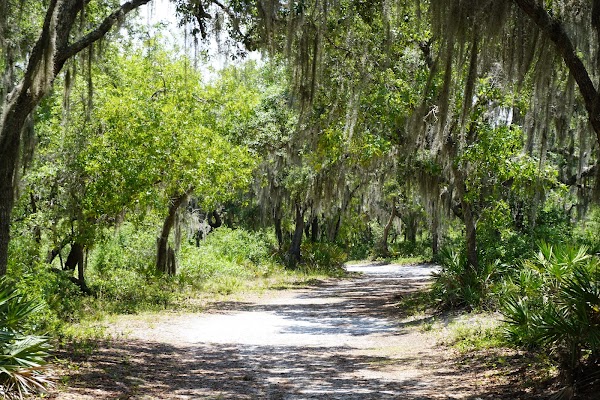 Split Oak Forest Wildlife and Environmental Area 1