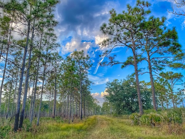 Split Oak Forest Wildlife and Environmental Area 5