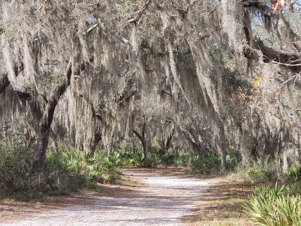 Split Oak Forest Wildlife and Environmental Area 4