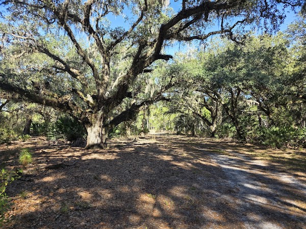 Split Oak Forest Wildlife and Environmental Area 3