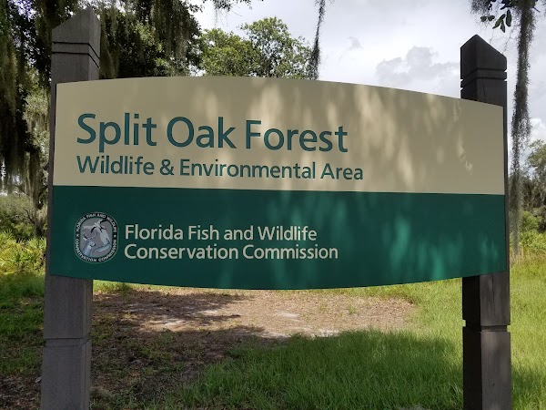 Split Oak Forest Wildlife and Environmental Area 2