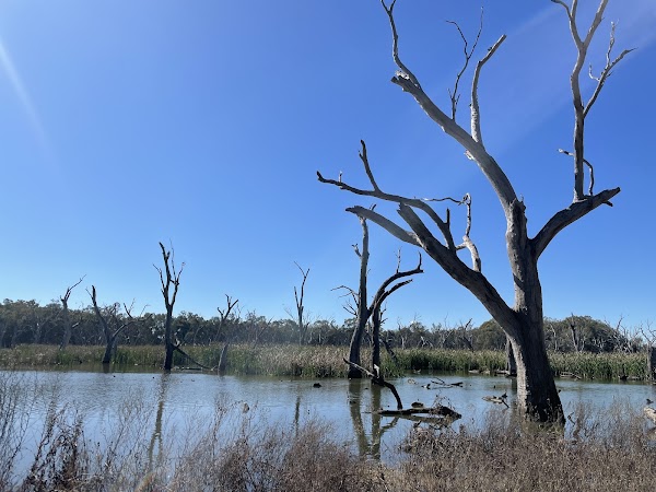 Gum Swamp & Bird Hide 1