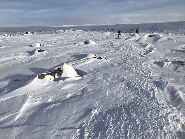Dettifoss 3