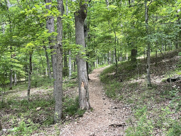 Big Bluff Goat Trail 3