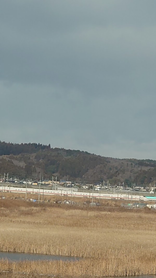 Tagajo City 2