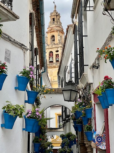 Calleja de las Flores 1