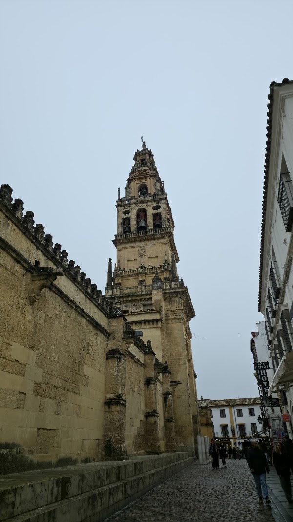 Calleja de las Flores 4