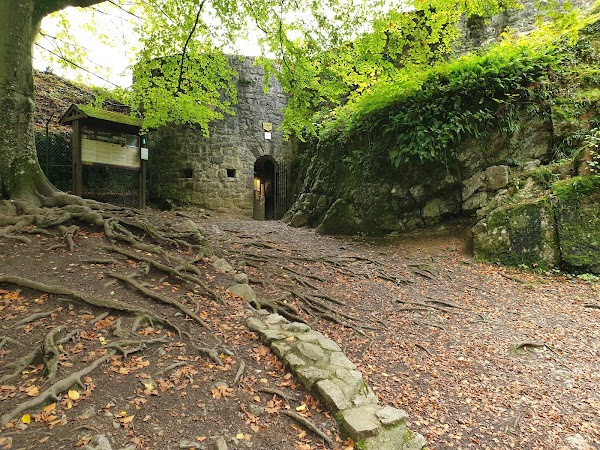 Château de Logne 2