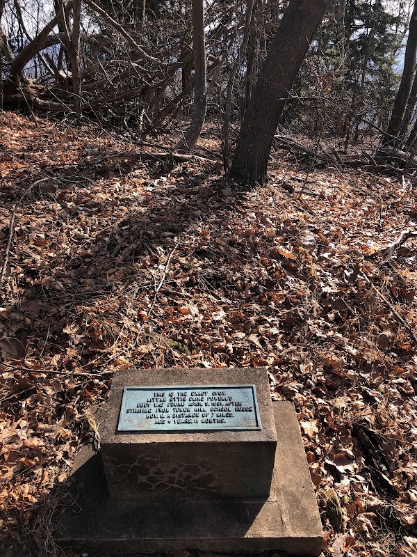 Bluff Mountain 5