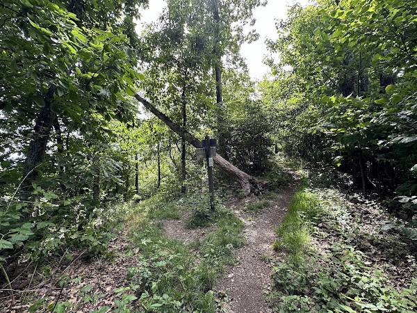 Bluff Mountain 3