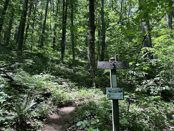 Bluff Mountain 2
