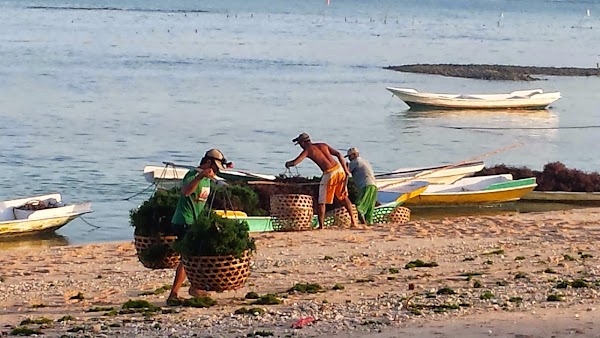 Lembongan