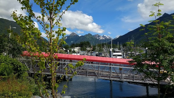 Sitka 1