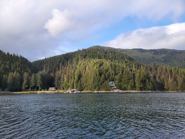Sitka 5