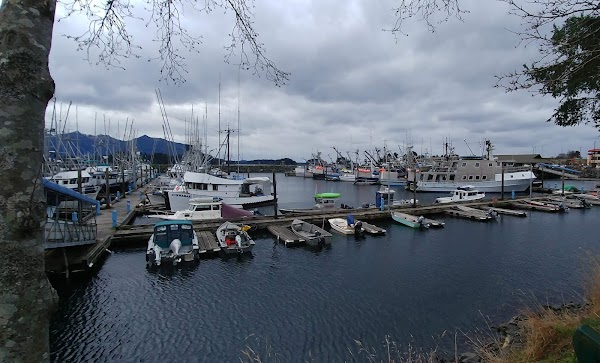 Sitka 4