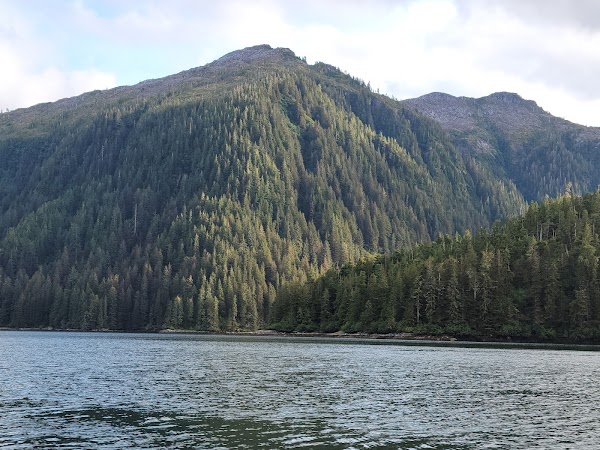 Sitka 3