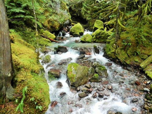 Ladder Creek Falls 3