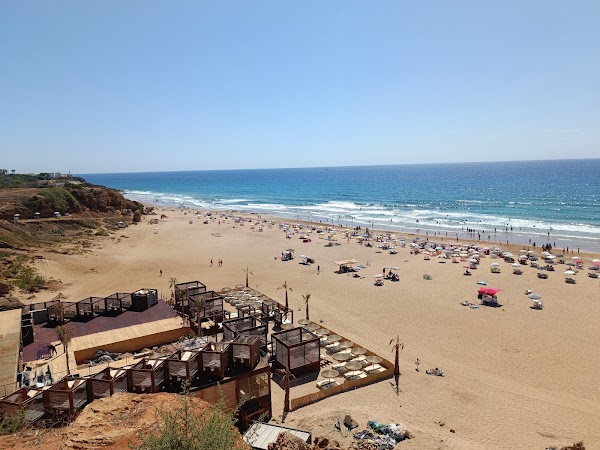 Tangier 25