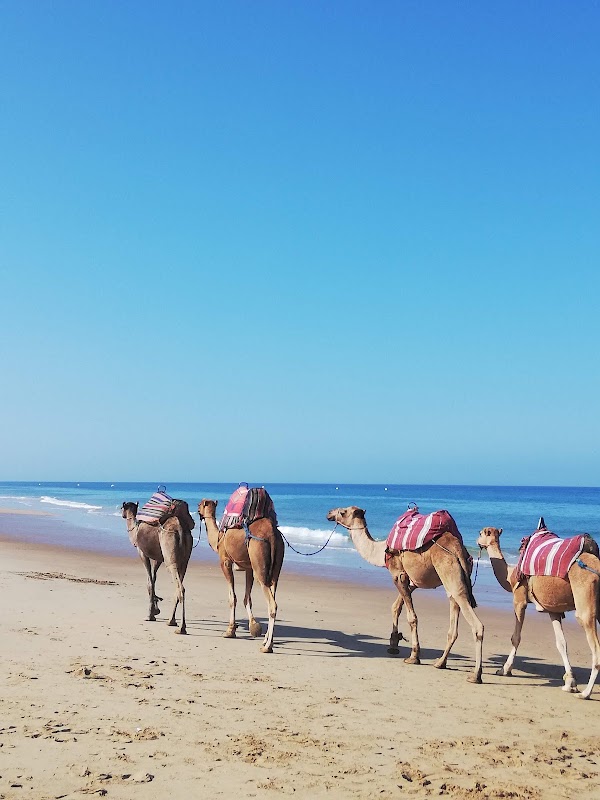 Achakkar Beach 4