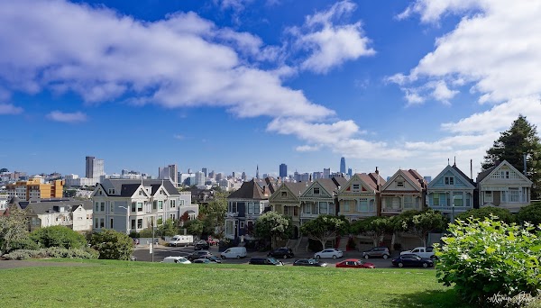 The Painted Ladies 5