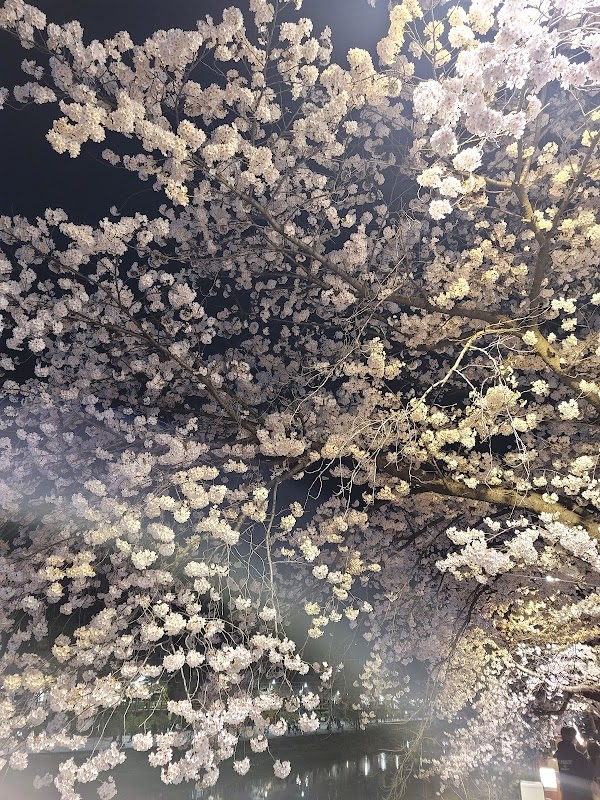 Uicheon Stream 1