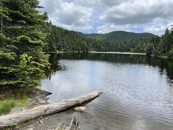 Sterling Pond Trail 1
