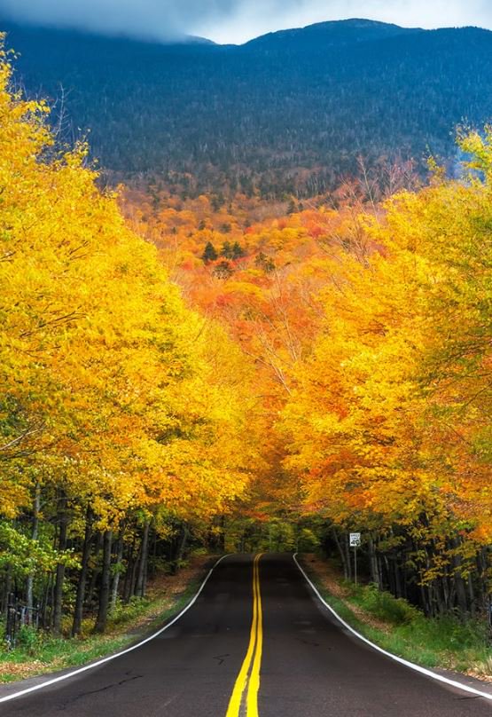 Smugglers' Notch State Park Campground 5