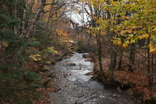 Smugglers' Notch State Park Campground 2