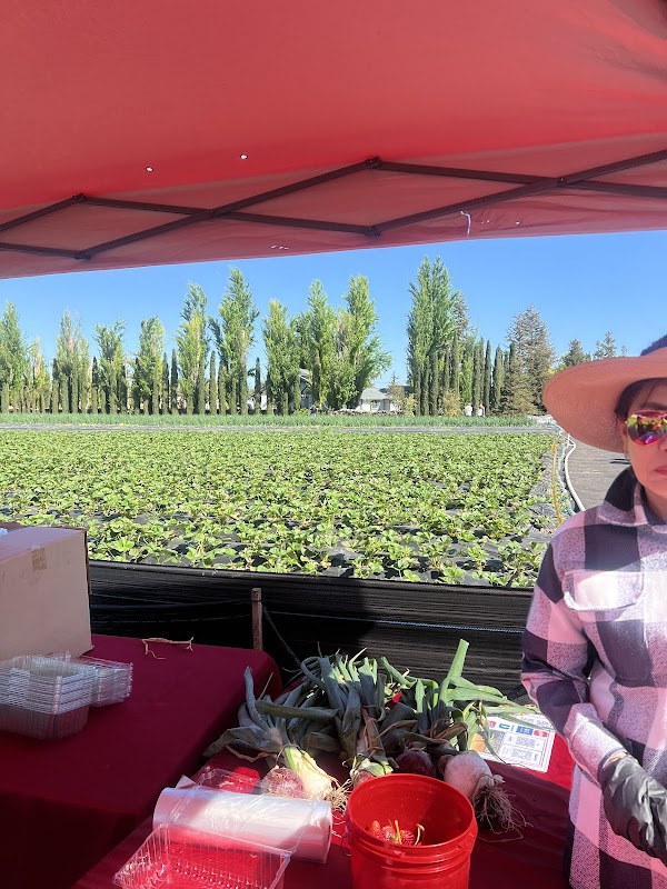 Byron Growers 2