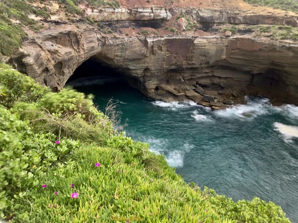 Snapper Point