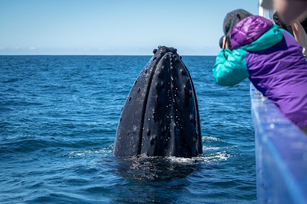 Sapphire Coastal Adventures