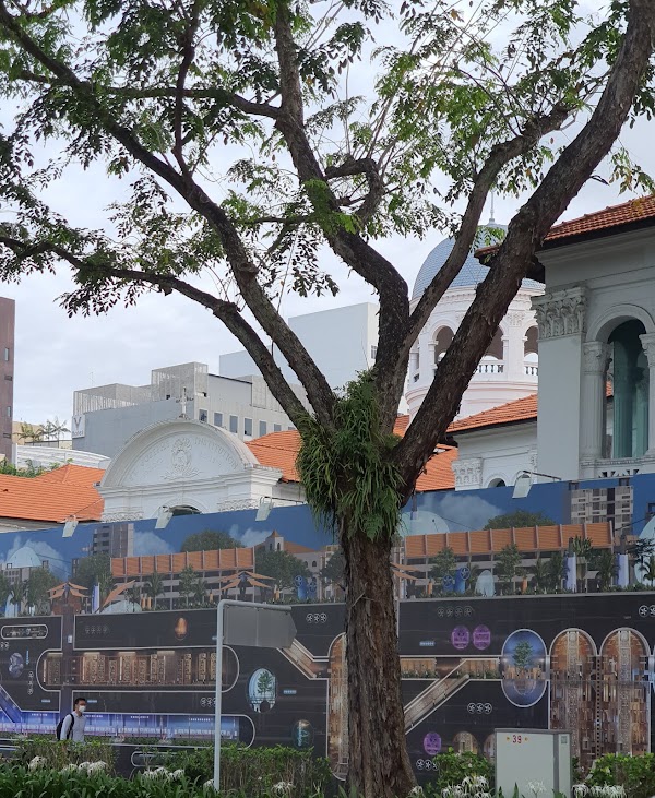 Bras Basah