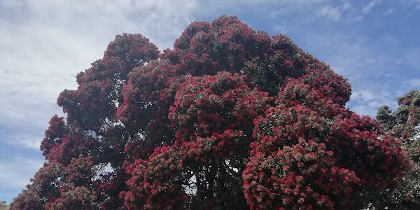 Jardim da Pérgola 2