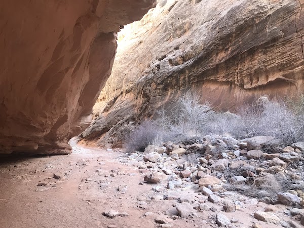 Grand Wash Trail 4
