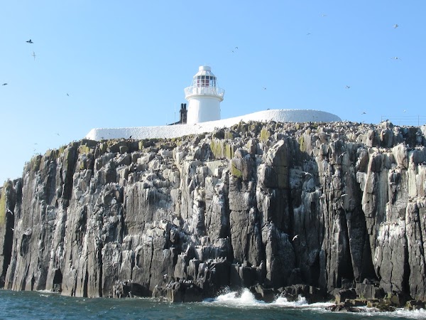 Farne Islands