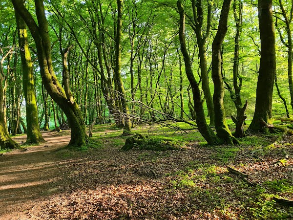 Rebild National Park
