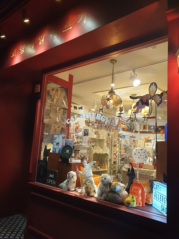 고양이알레르기 cat allergy shop 2