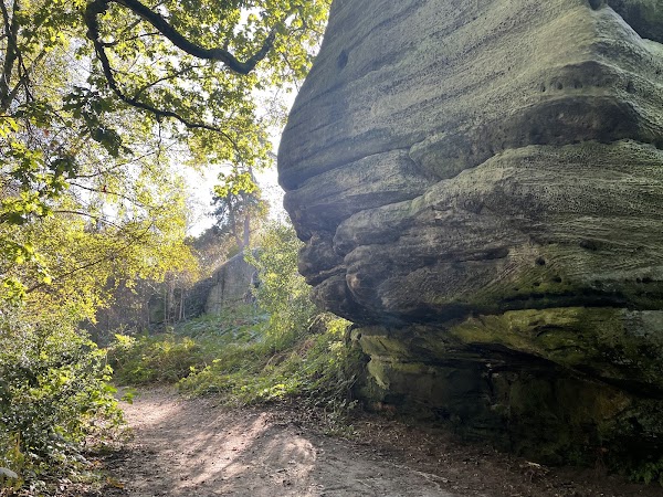 Eridge Rocks Nature Reserve - Sussex Wildlife Trust 5