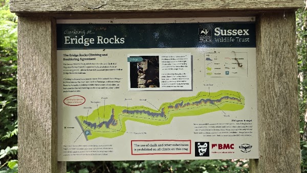 Eridge Rocks Nature Reserve - Sussex Wildlife Trust 3