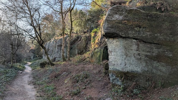 Eridge Rocks Nature Reserve - Sussex Wildlife Trust 2